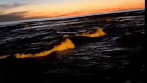 JUAN OSAVIN CRITICAL UPDATE - 11/24/24