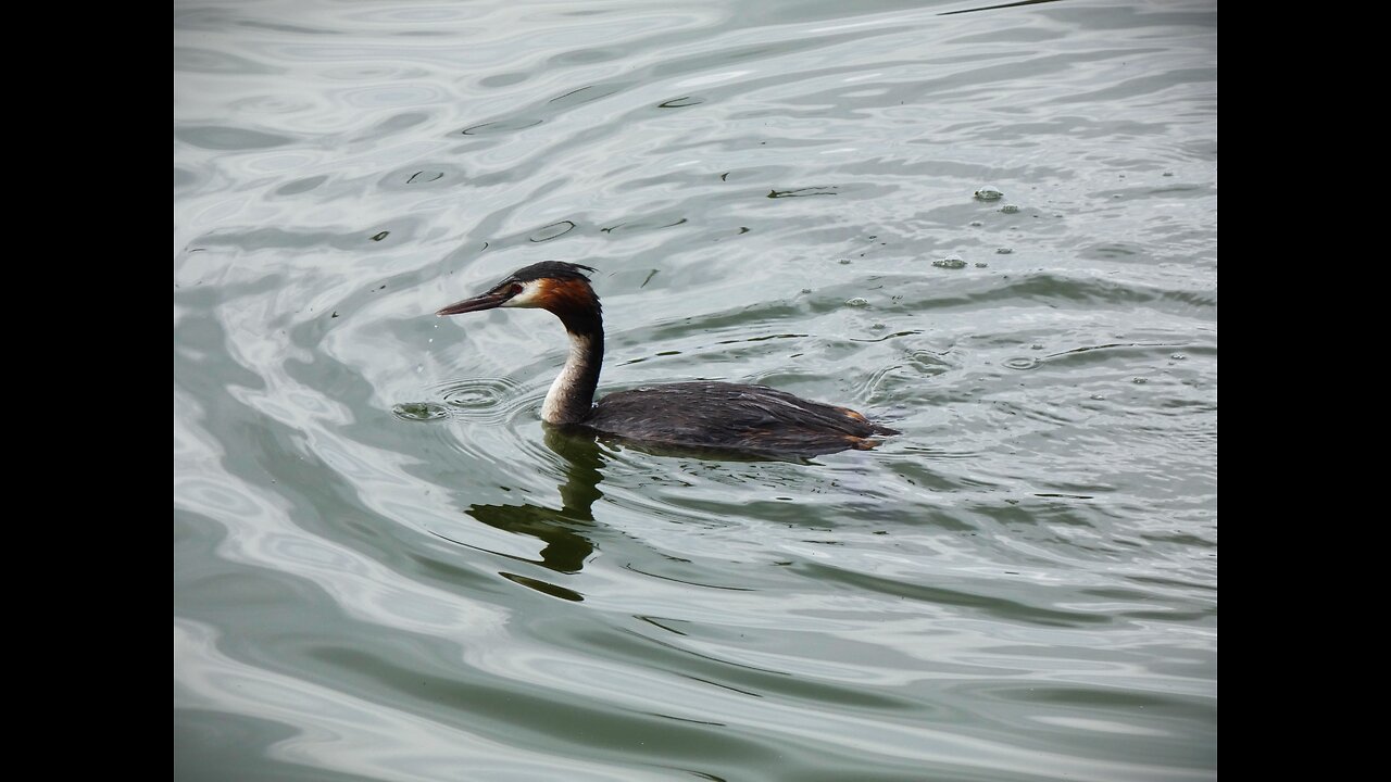 Nature In Maidstone In Kent, England UK 2022