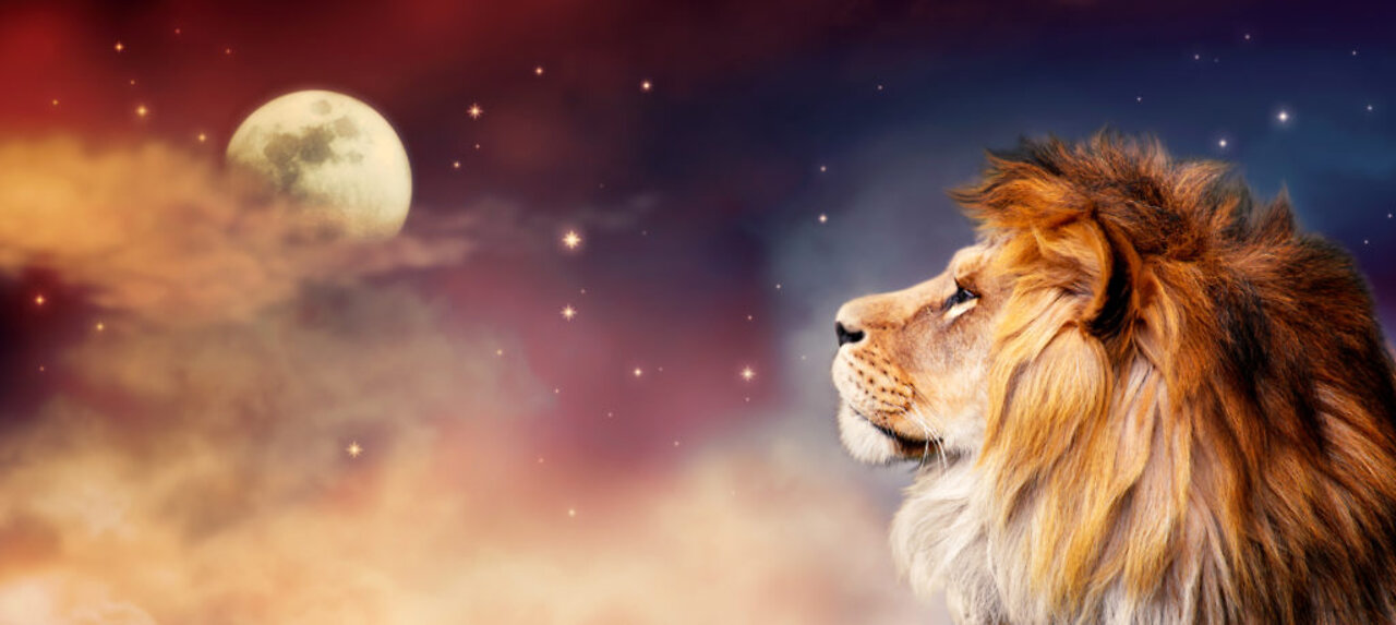 Full Moon In Leo & Original Self..Lets Go!