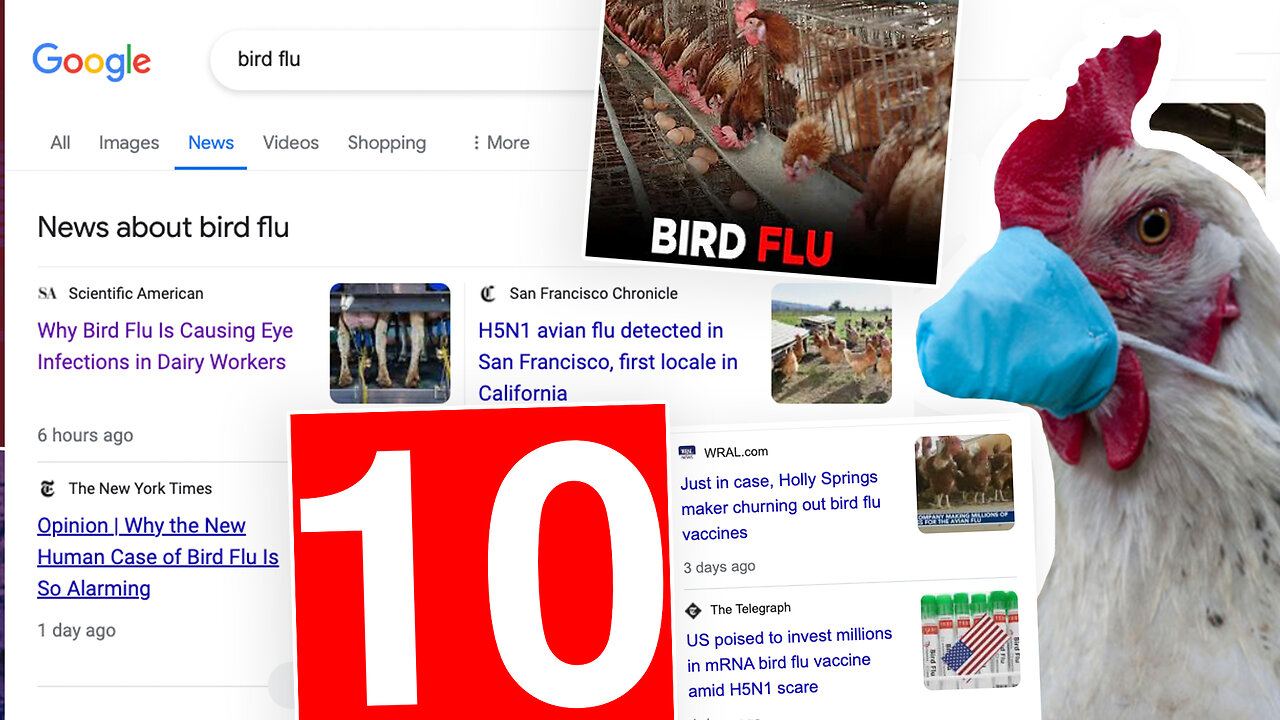 Bird Flu | 10 Bird Flu Facts You Need to Know About Bird Flu Now + "According to the Kremlin, It's Known As the BRICS Bridge Multi-Sided Payment Platform. In Other Words, BRICS Currencies Backed By Gold & Commodities" - 6/2/24