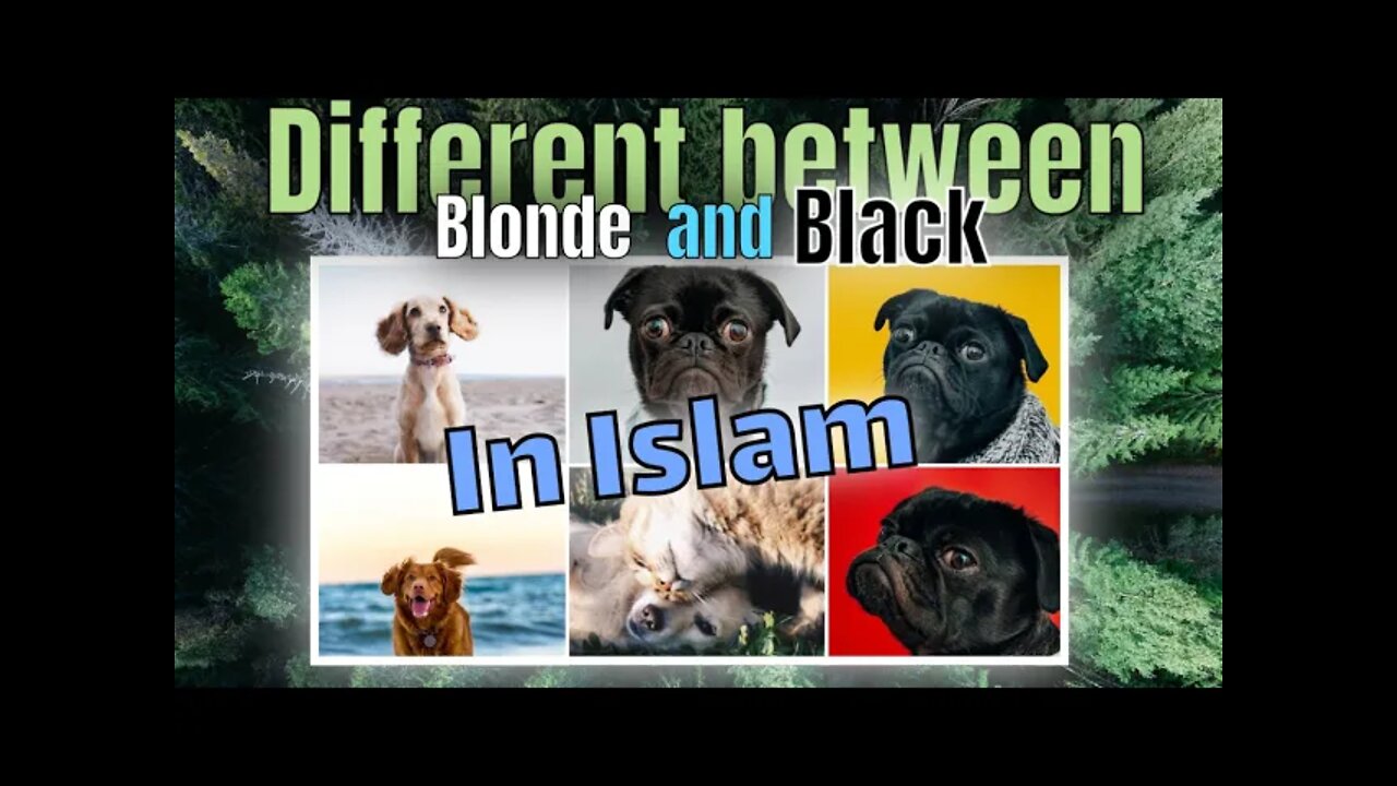 Different between blonde and black dog - Christian Prince explain