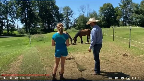 Discussing & Evaluating Ryan Rose Helping With Food Aggressive Horses - Part 3 of 3