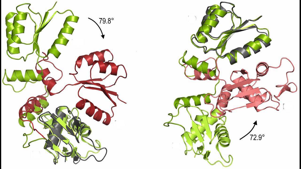 Tutorial for Protein Structure or Homology Modeling