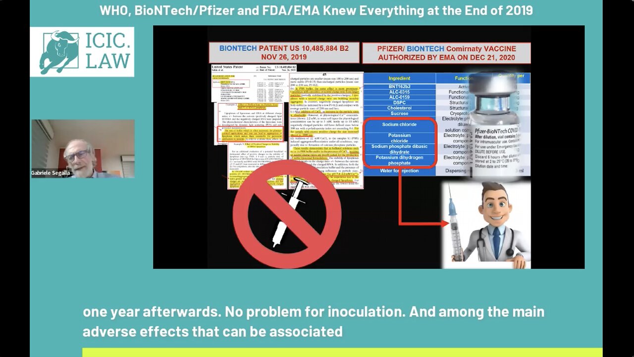 Dr. Reiner Fuellmich - WHO, BioNTech Pfizer and FDA EMA Knew Everything at the End of 2019