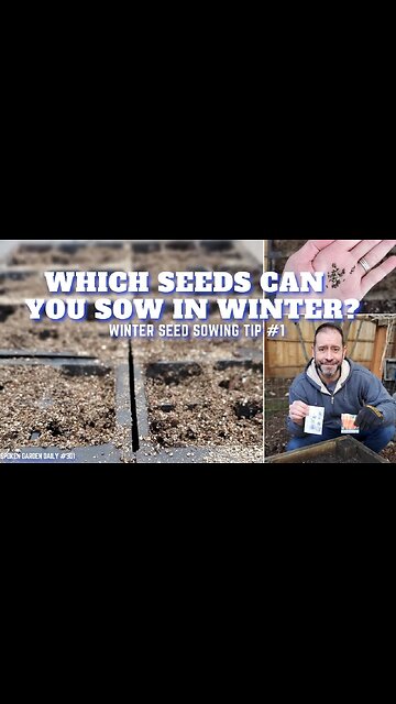 🌱 Which Seeds Can You Sow in Winter? | Winter Seed Sowing - SGD 301 🌱