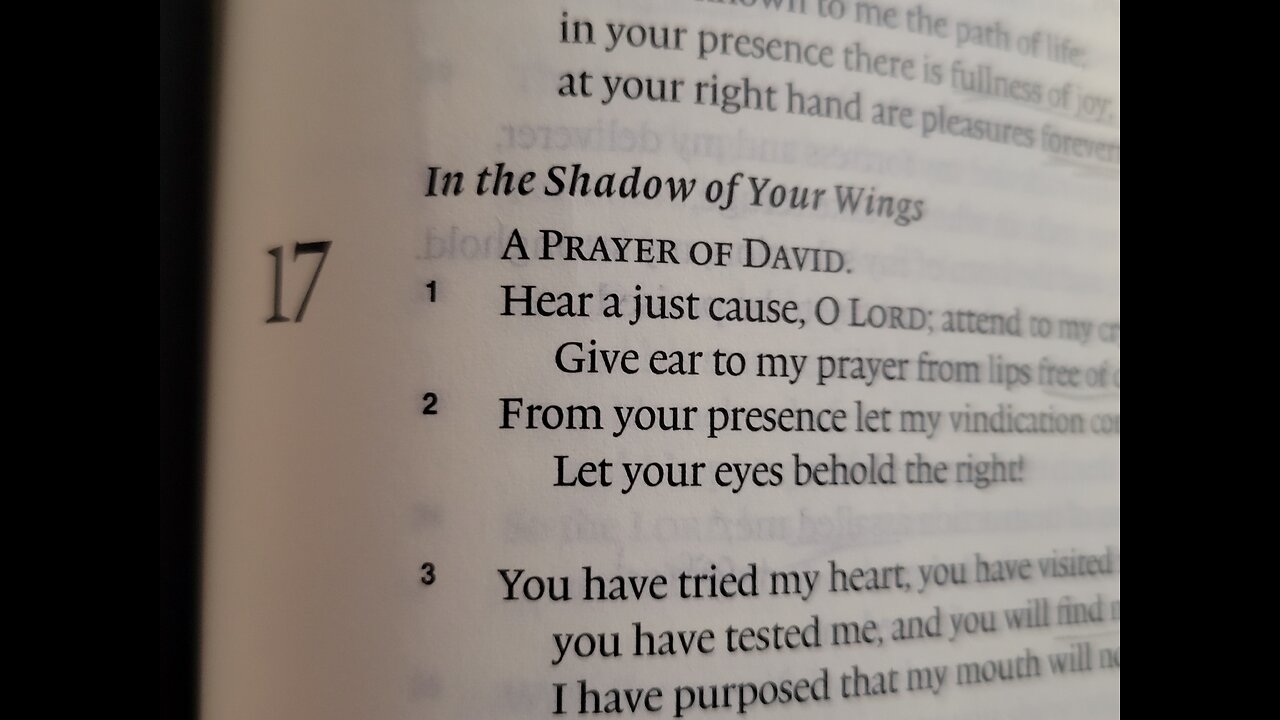 Psalm 17 - ESV Audio