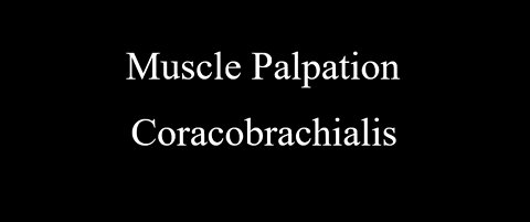 Muscle Palpation - Coracobrachialis