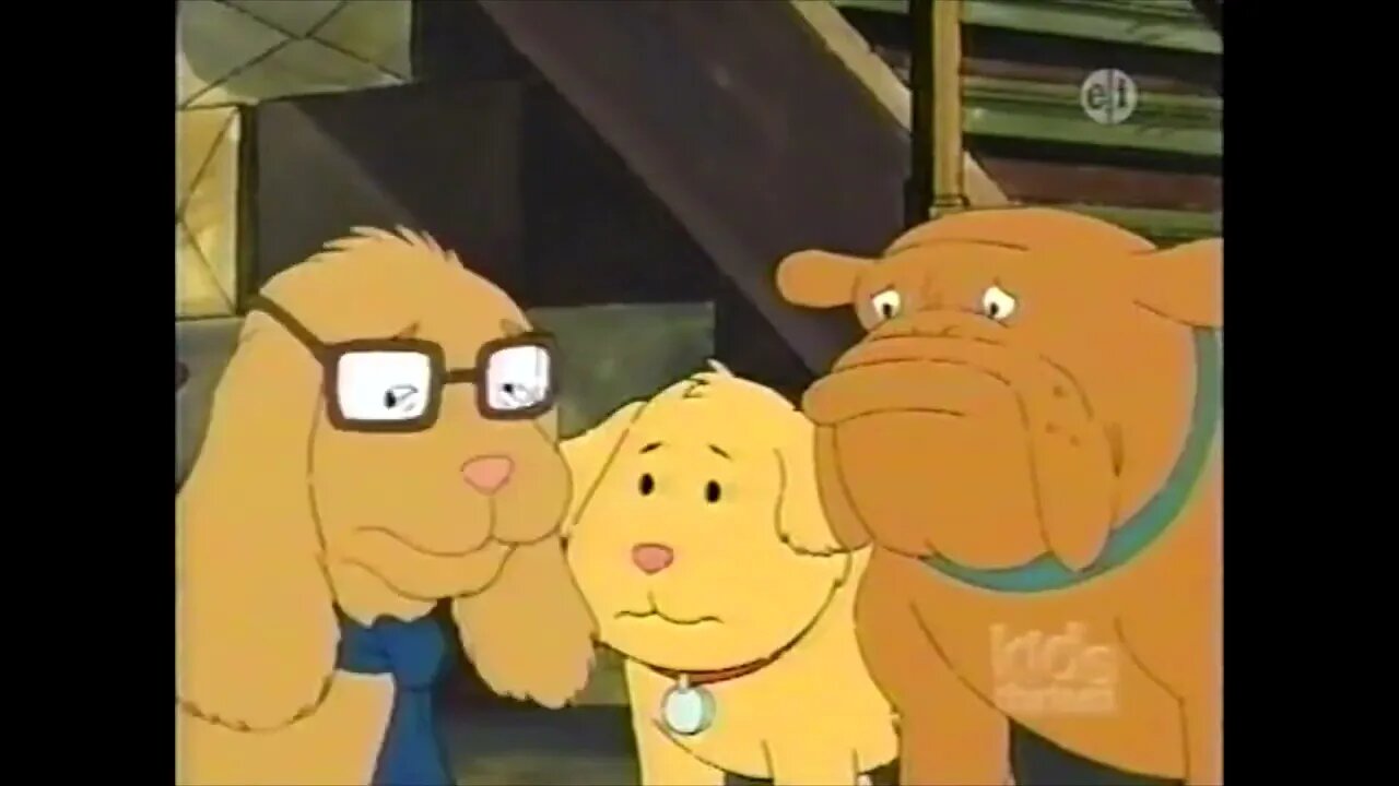 Where do all the missing socks go? | Arthur