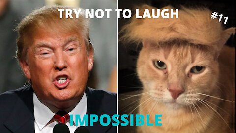 TRY NOT TO LAUGH #11 - IMPOSSIBLE