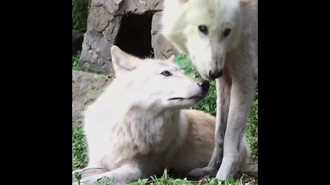 Just The Two Of Us...
