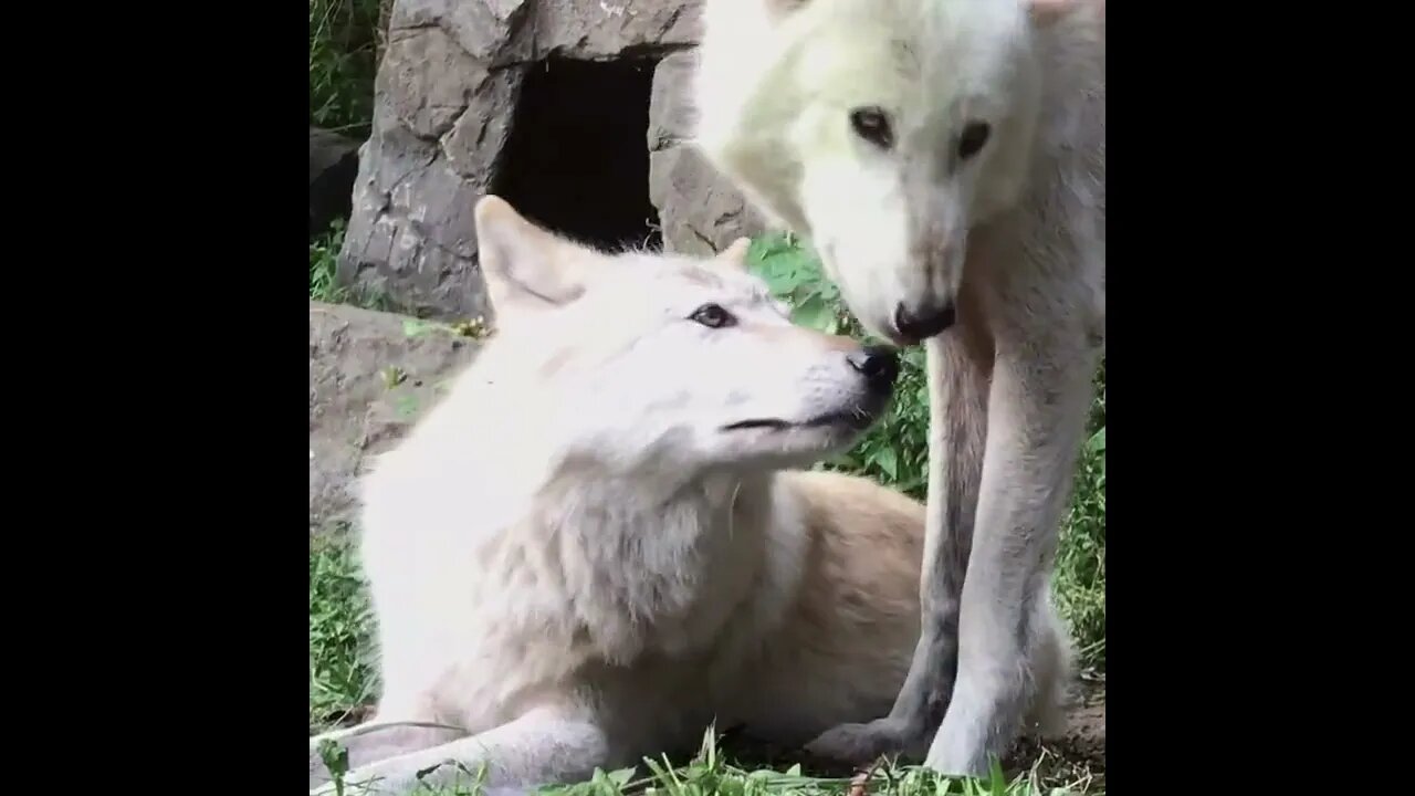 Just The Two Of Us...