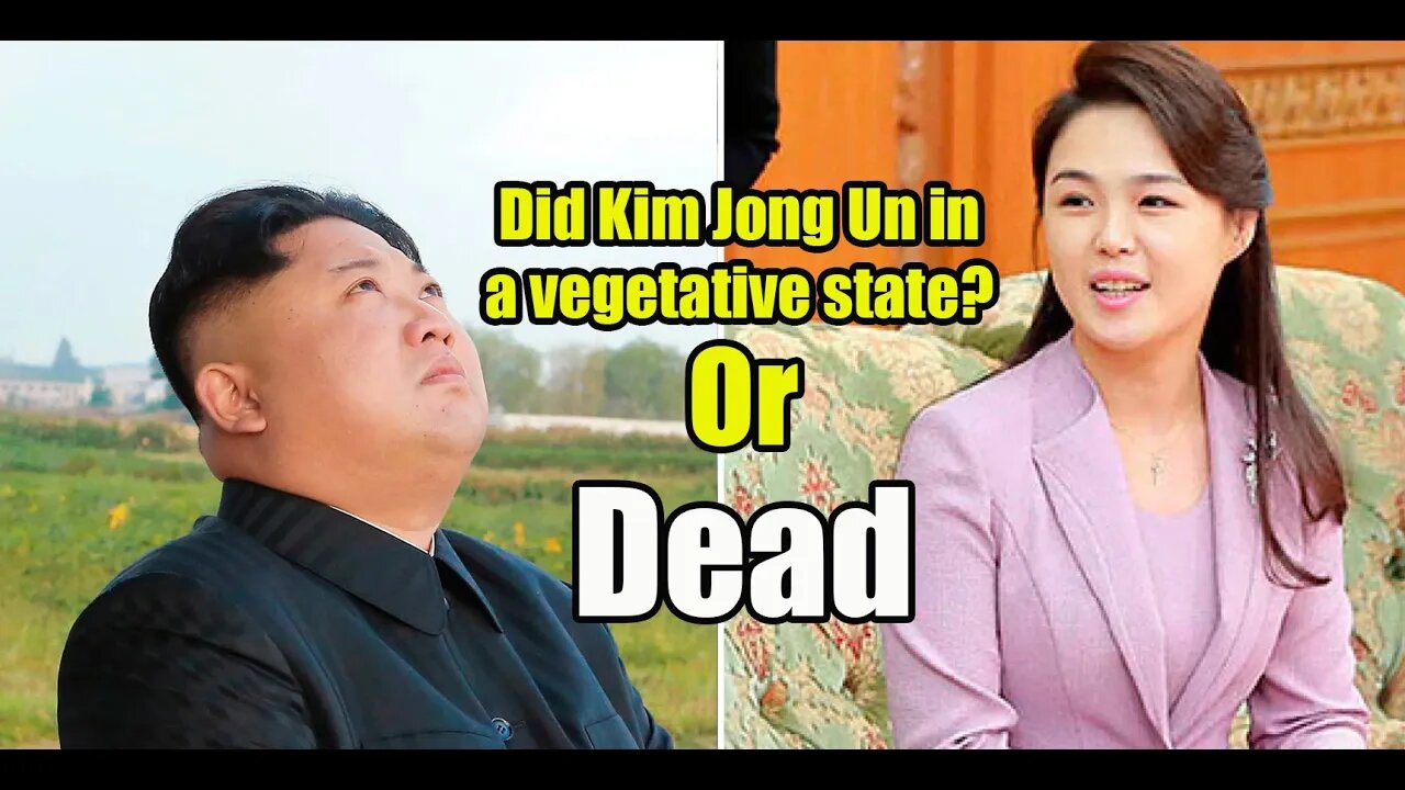 Did Kim Jong Un in a vegetative state