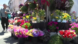 Flower Mart is blooming in Mount Vernon