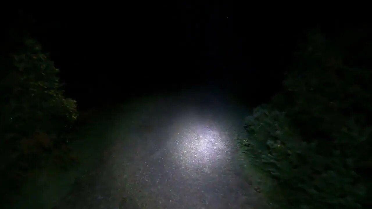 I had to push myself to do a night Hike today . New forest UK 1st Dec 2023