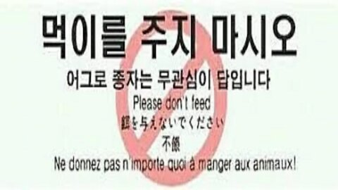 유튜브 구독자 100만 만들기 보겸 TV 정치꾼 막말에도 이유 유튜버에게 어그로 필요