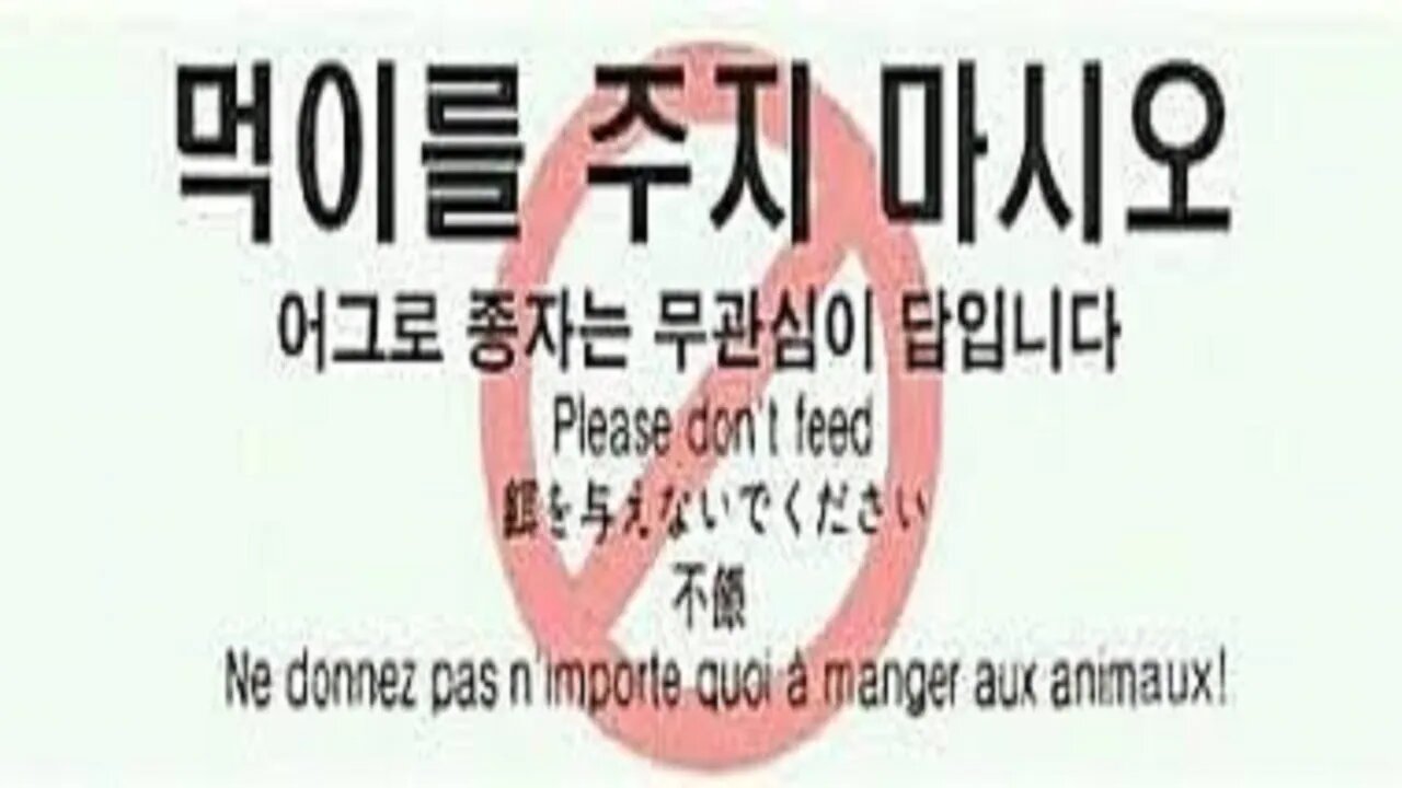 유튜브 구독자 100만 만들기 보겸 TV 정치꾼 막말에도 이유 유튜버에게 어그로 필요