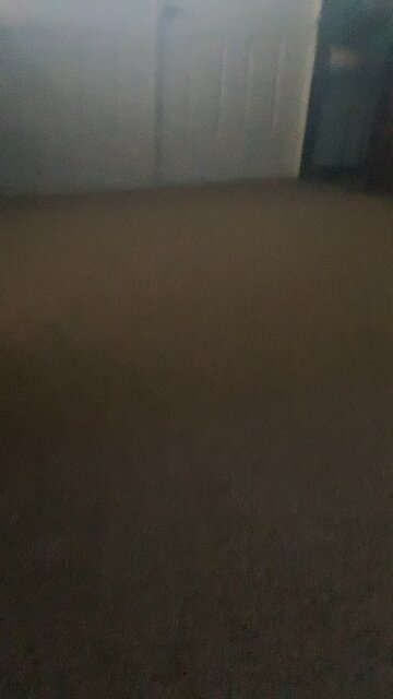 Nonsensical babbling 5