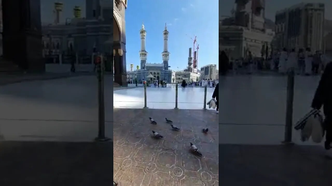 viral shorts & trending video for Entertain Your Mood #shorts #trending #viral #youtubeshorts