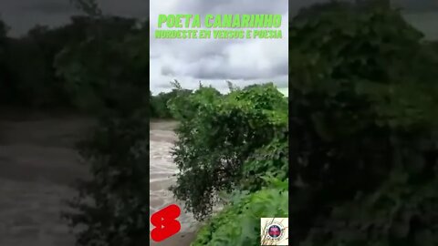 POETA CANARINHO