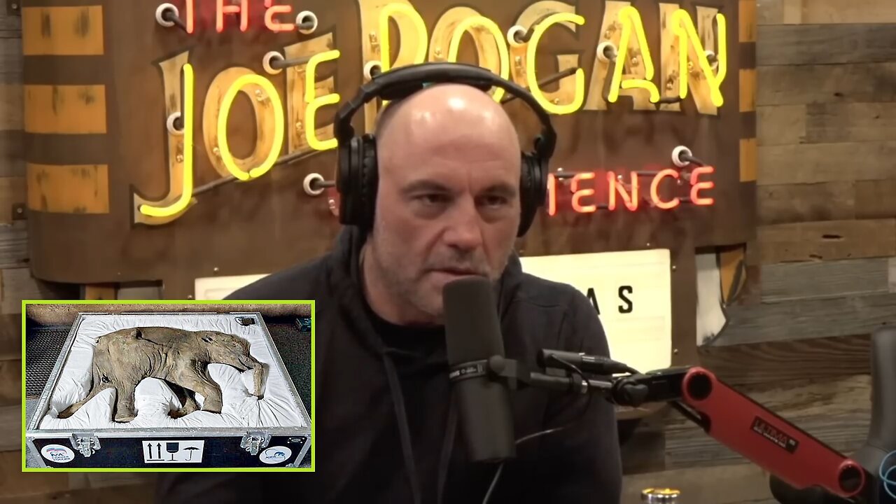 Joe Rogan & Randall Carlson - Woolly Mammoth's Found Flash Frozen Alive In the Siberian Ice