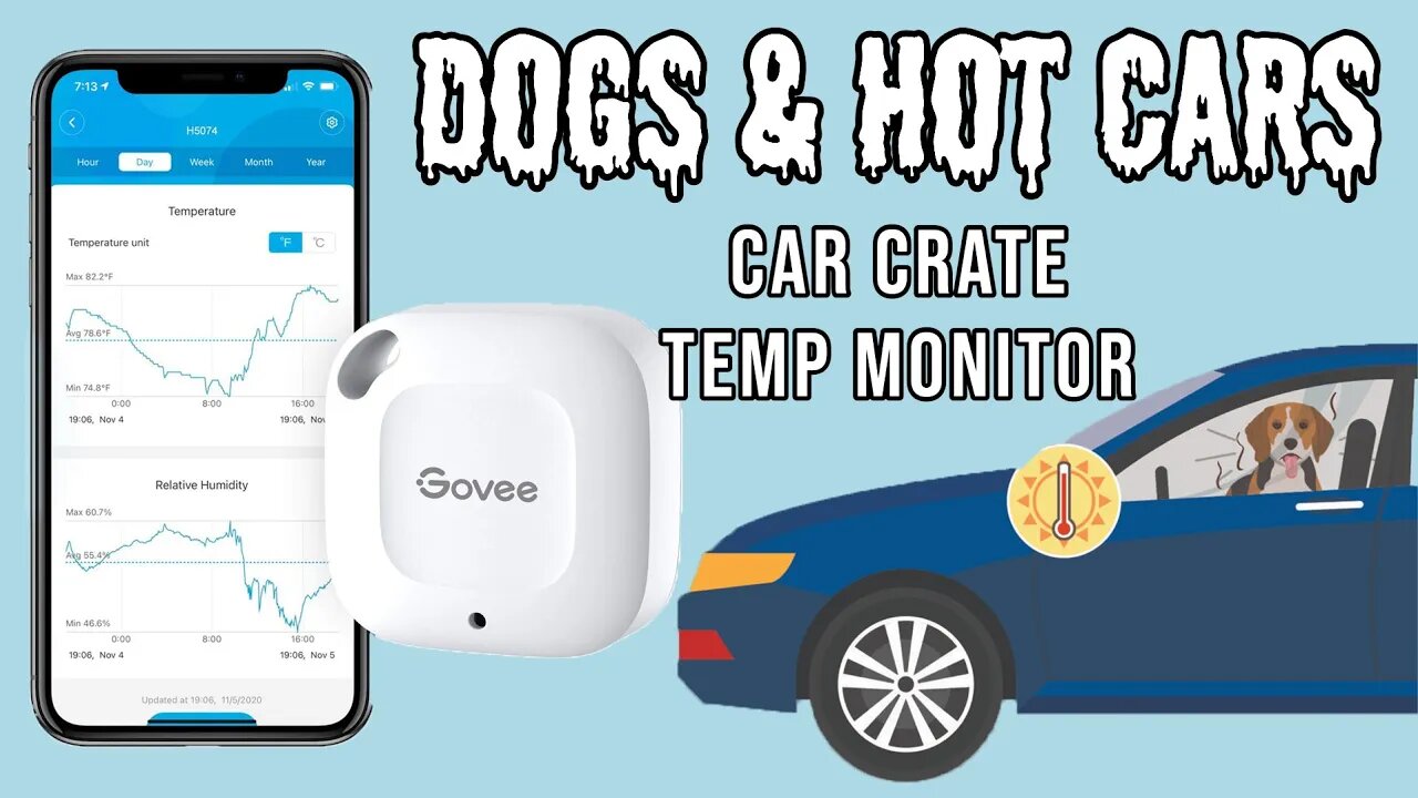 Govee Wireless Thermometer Review - Car Crate Temperature Monitor - Dog Safety