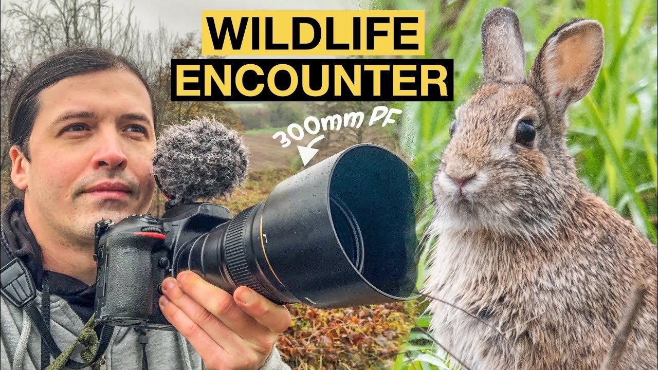 WILDLIFE ENCOUNTER, Miracles happen every day | Alex Beldi