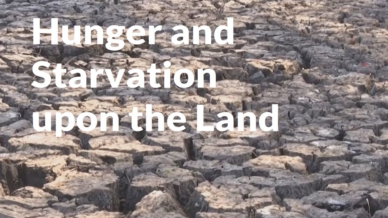 THEY ARE STARVING US OUT!!!