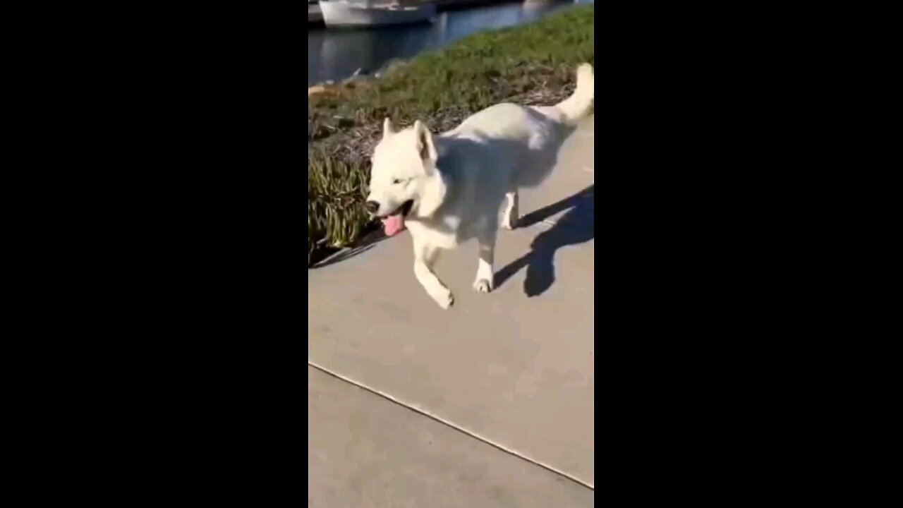 it's Friday