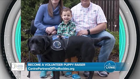 Be A Volunteer Puppy Raiser! // Canine Partners Of The Rockies