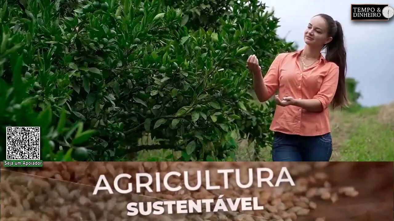 Com SH 24 da Lottus Biosolucoes produção de laranjas ocorre o ano todo