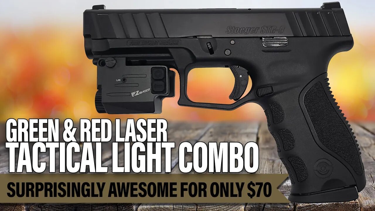 Red & Green Laser Tactical Light Combo - Great Find!