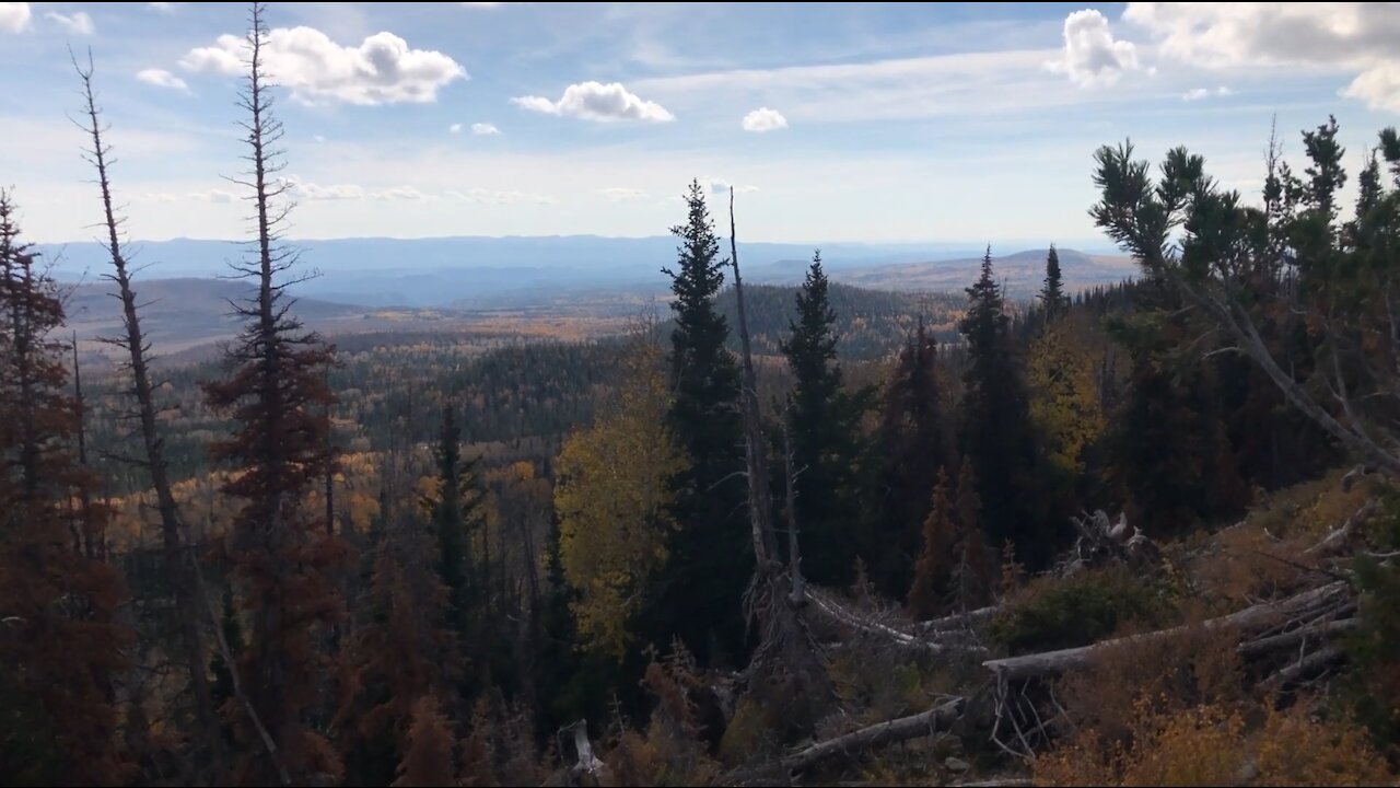 10 Day Solo Muzzleloader Deer hunt 2021 - Part 3