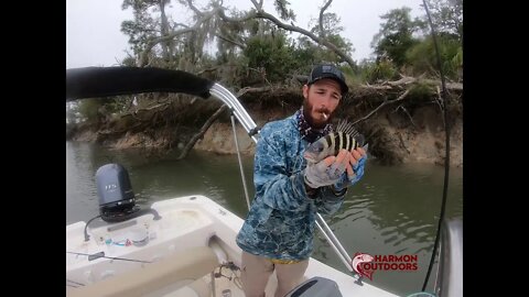 SHEEPSHEAD FISHING BEAUFORT SC