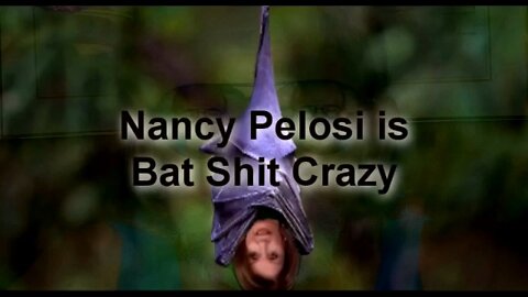 NANCY PELOSI IS BAT SHIT CRAZY