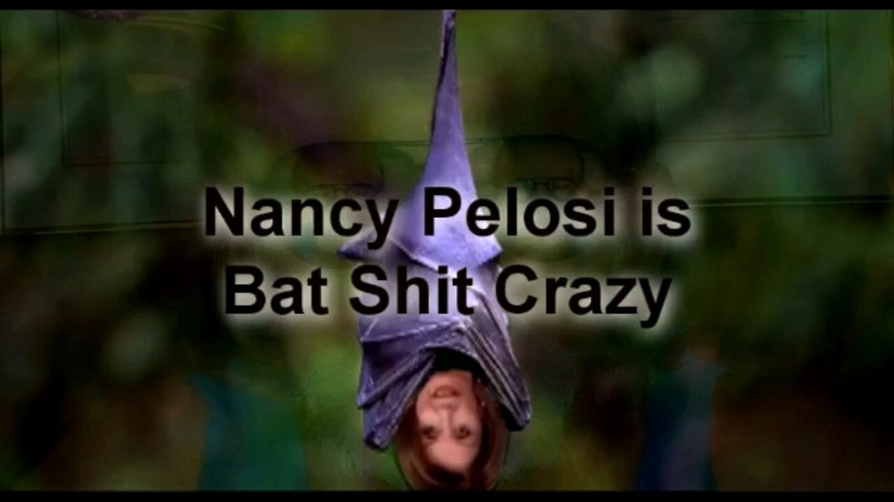 NANCY PELOSI IS BAT SHIT CRAZY