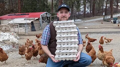 Collecting Eggs & Breakfast For Dinner