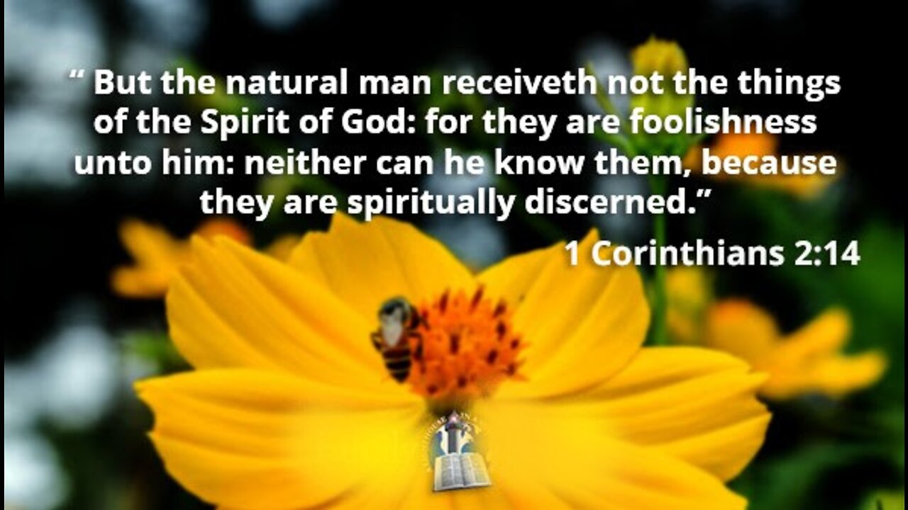 A PLAIN LAW OF LOGIC B-256