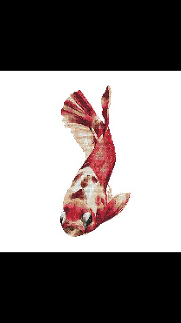 KOI ELEGANCE Cross Stitch Pattern by Welovit Cross Stitch | welovit.net | #welovit #crossstitch