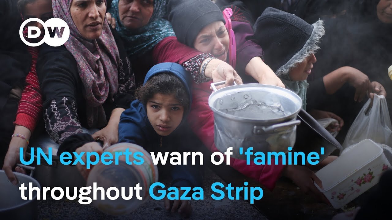 UN warns Gaza Strip 'too dangerous' for aid distribution as Palestinians go hungry | DW News