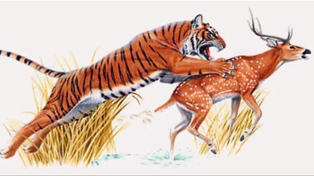 Deer has 90 km hr of running speed against Tiger speed of 50 km hr but victim of Tiger.