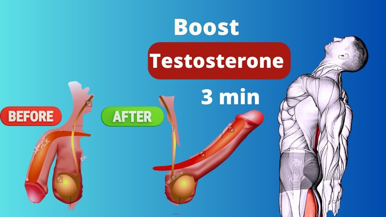 Boost Testosterone in 3 min | Boost male Harmon Naturally At Home | Pelvic Floor Exercises