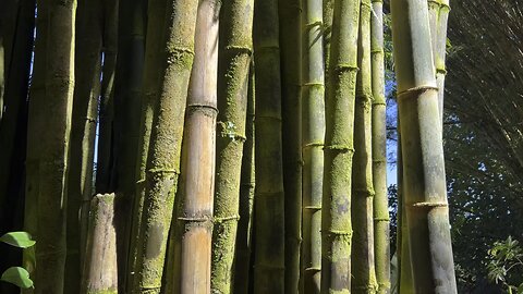 Maui Hawaii