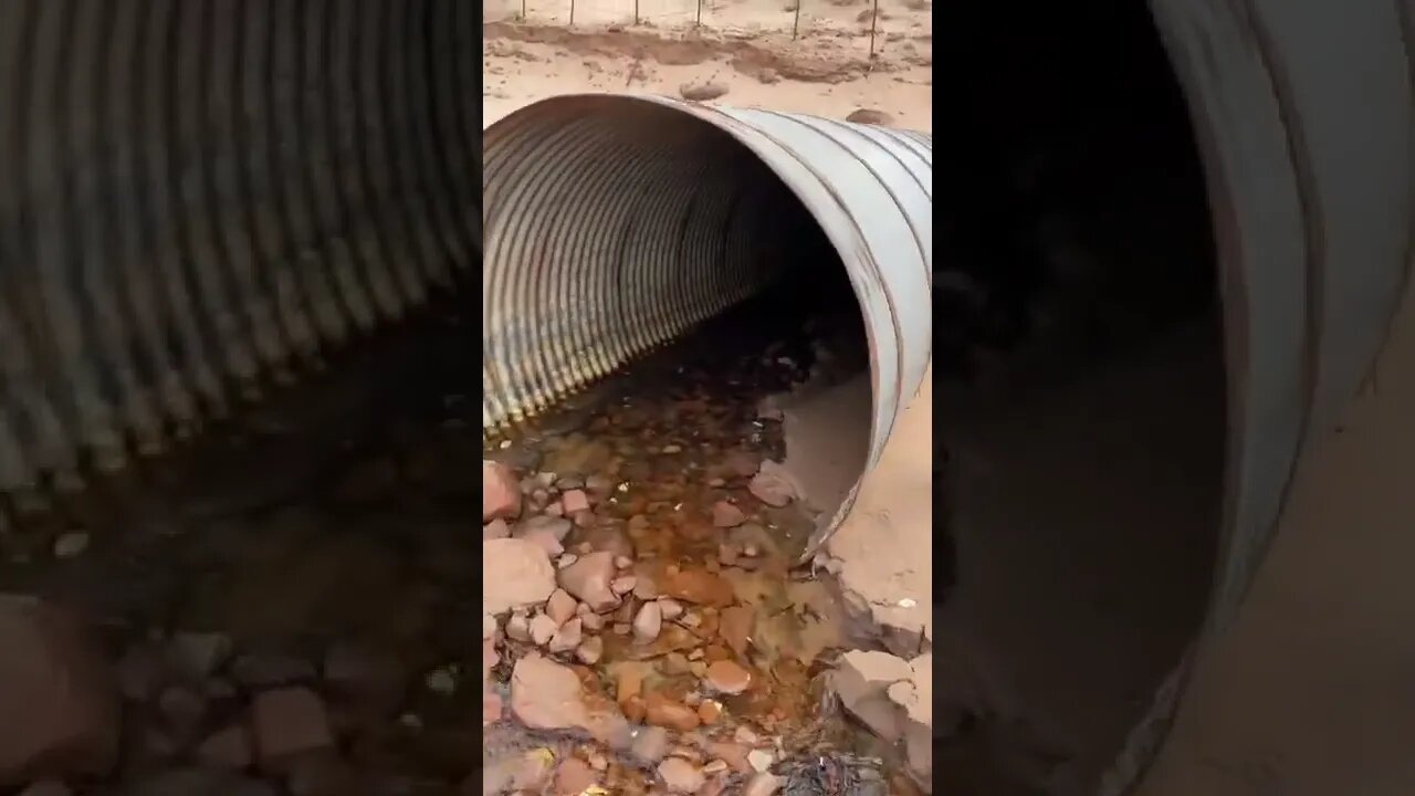 A never ending pipe to the Mushroom Kingdom