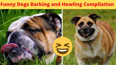 Funny Dogs Barking and Howling Compilation 😂