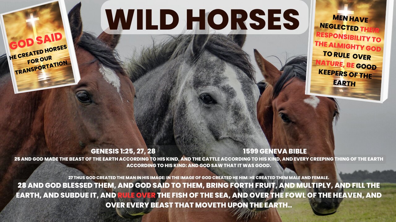 Edited Pt 3 Wild Horses Communist Progressives Caused The Great Depression w PG