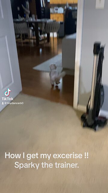 Sparky training his mom