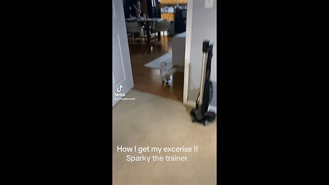 Sparky training his mom
