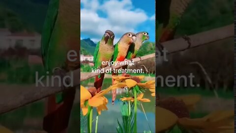 开悟堂世界公民频道 Kai wu tang world citizen channel