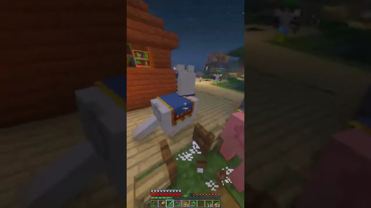 Minecraft 1.19 Server New Shaders & Mods Survival Multiplayer Series Java SMP ⛏🧱 46.4.53.240:27086