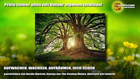 AUFWACHEN, WACHSEN, AUFRÄUMEN, SICH ZEIGEN